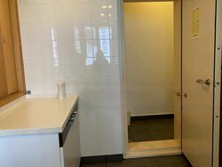 The Levelz (D10), Condominium #476211731